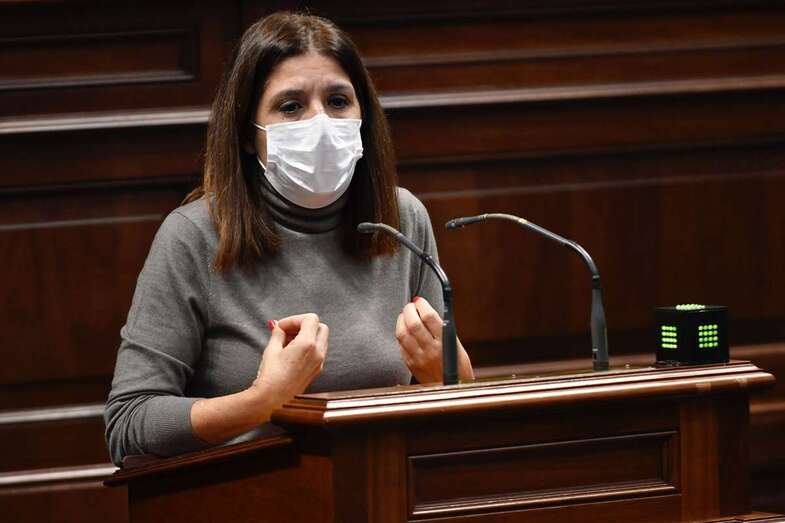 Carmen Hernández, durante una intervención en el Parlamento de Canarias / TA